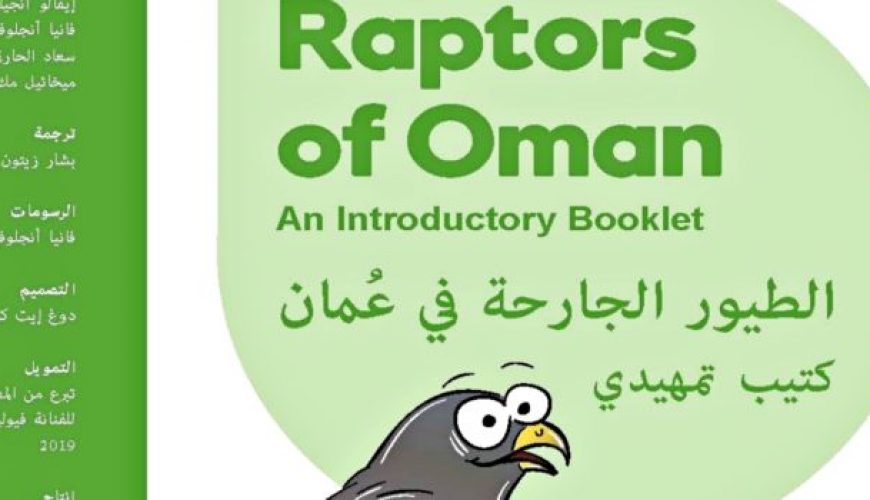 THE RAPTORS OF OMAN