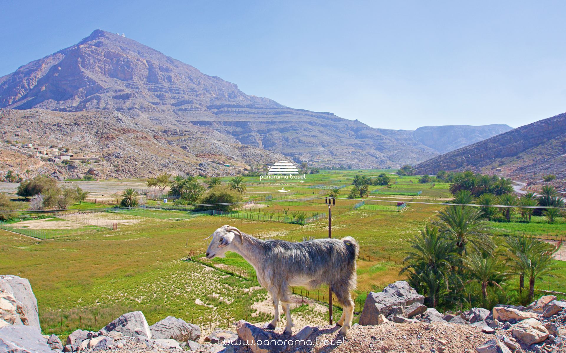 MUSANDAM RAIN HARVESTING