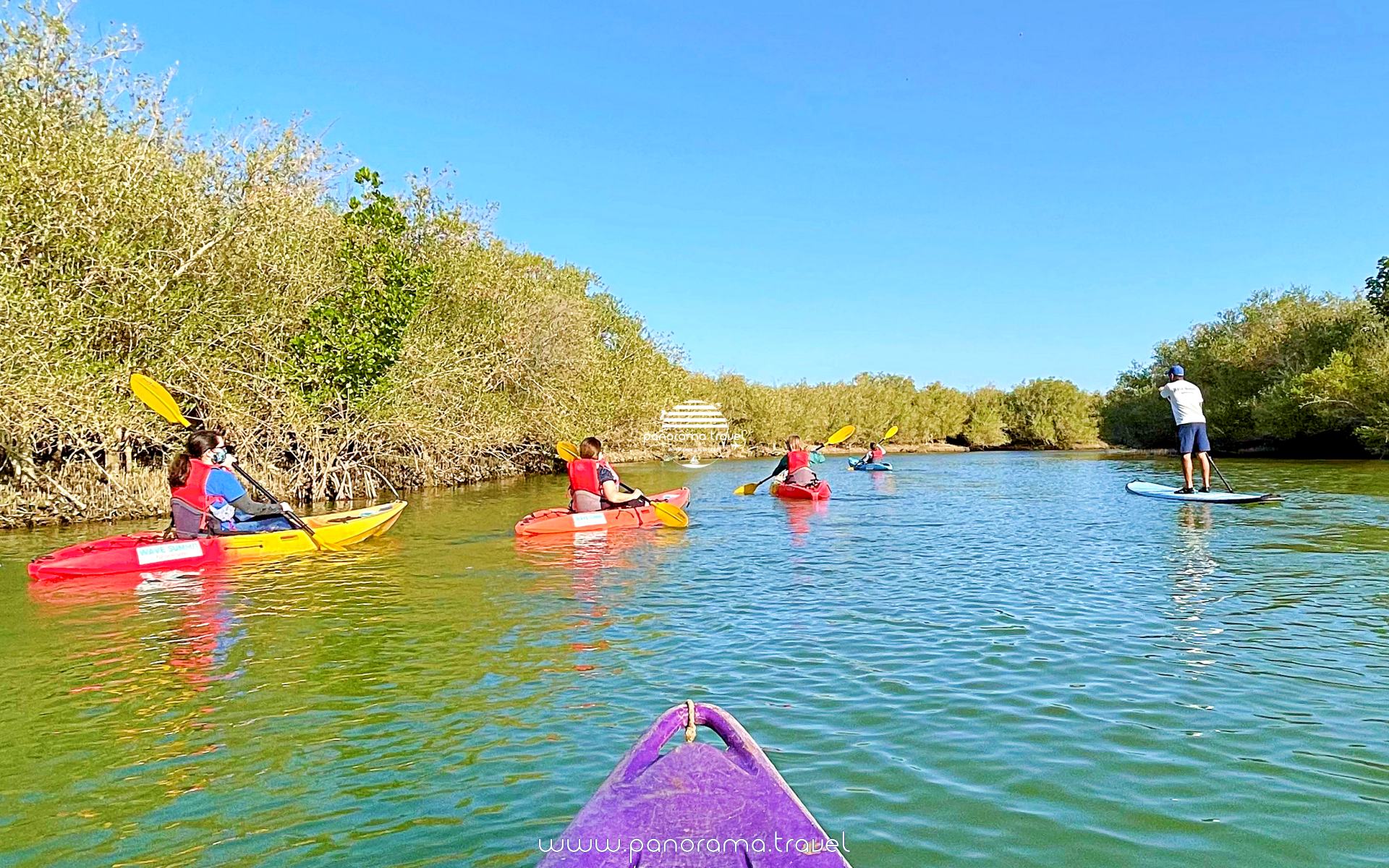 Paddle Boarding