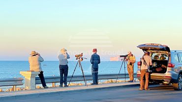 OMAN BIRDWATCHING TOUR PACKAGES
