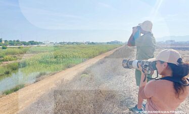 Oman-Birdwatching-Tour-Packages