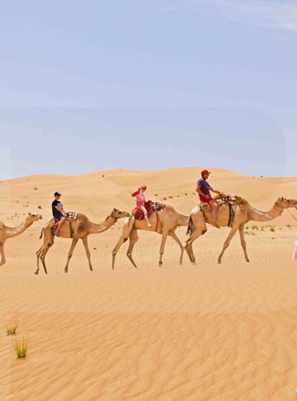 Al Sharqiyah Sand Desert Tour