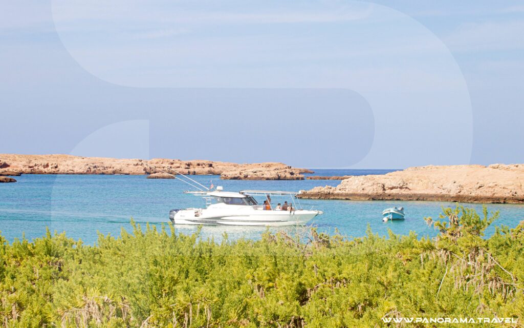 Daymaniyat Island Tour