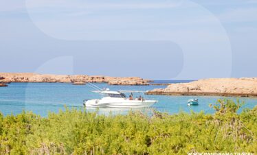 Daymaniyat Island Tour