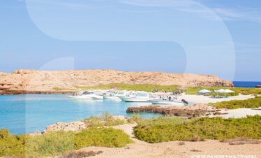 Daymaniyat Island Tour