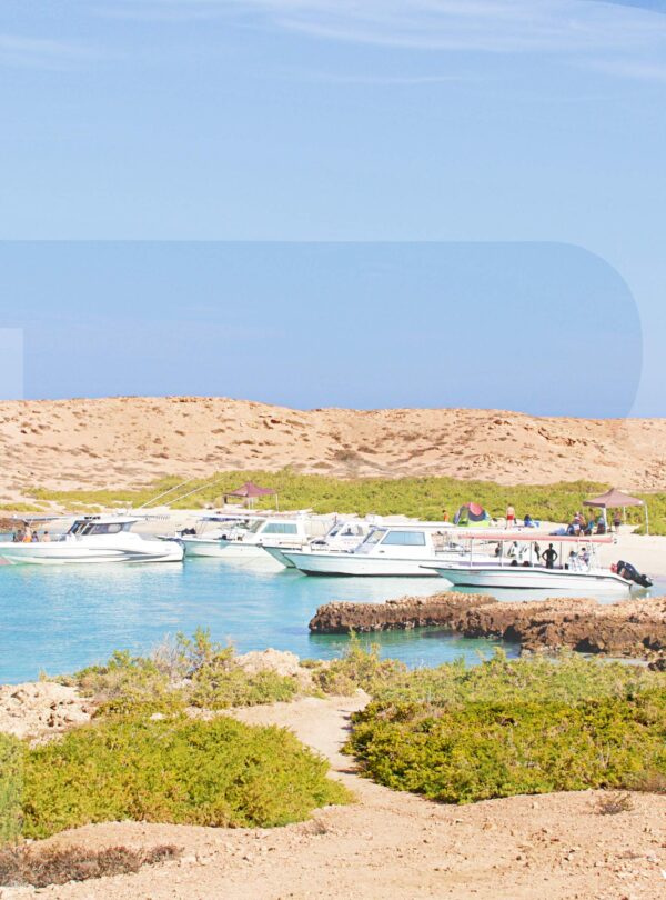 Daymaniyat Island Tour
