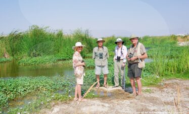Dhofar Birdwatching Adventure