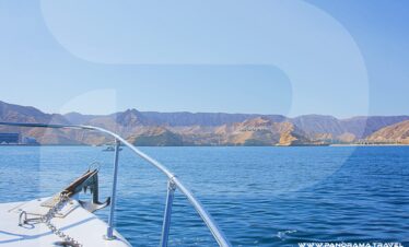 Dolphin Watching And Snorkeling Muscat