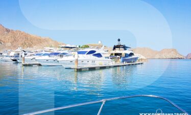 Dolphin Watching And Snorkeling Muscat