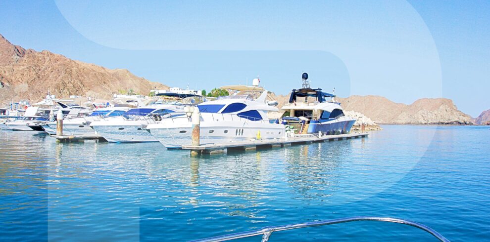 Dolphin Watching And Snorkeling Muscat