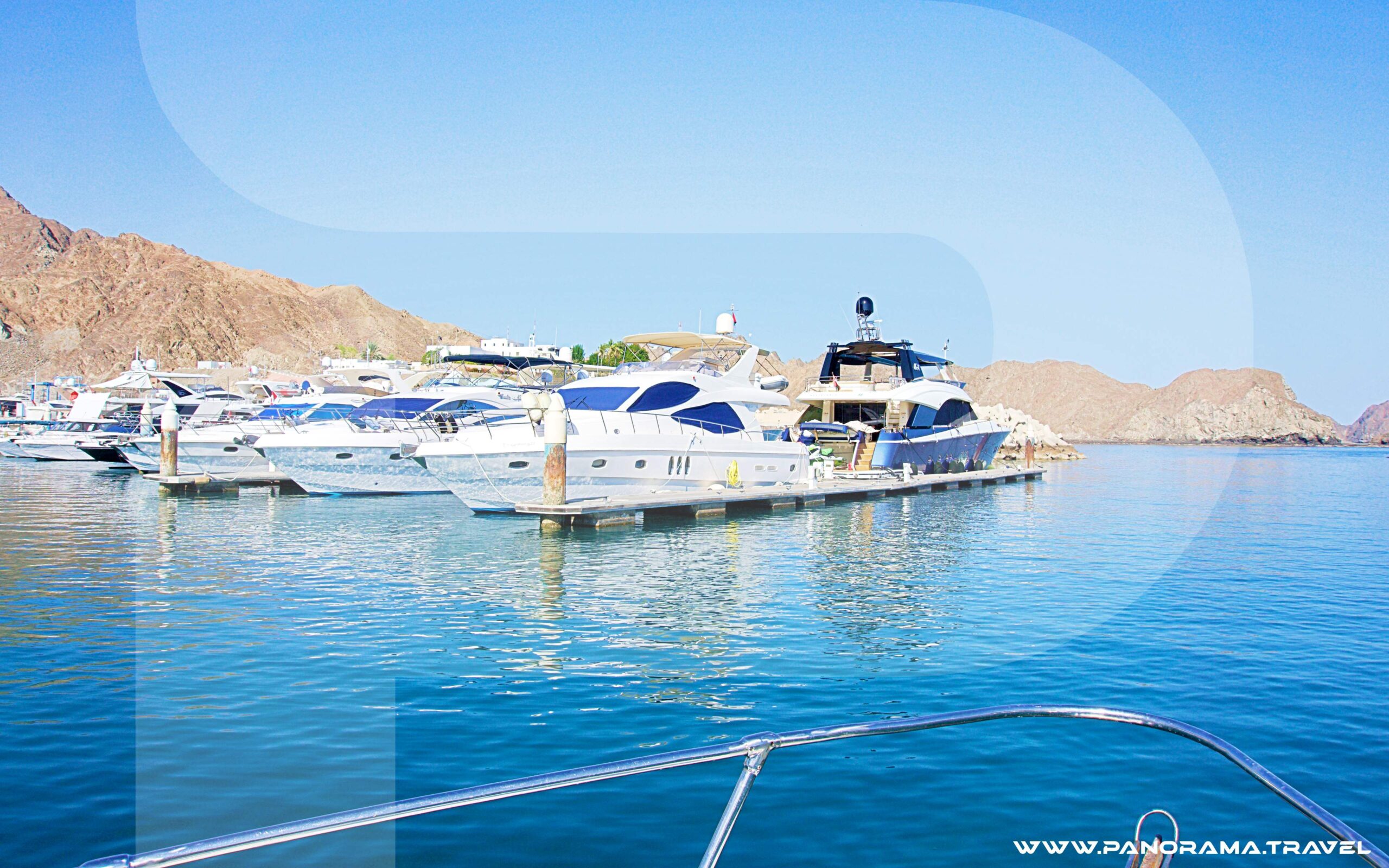 Dolphin Watching And Snorkeling Muscat