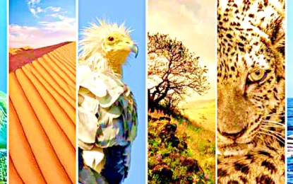 CELEBRATING WORLD ENVIRONMENT DAY: COMMITTING TO A GREENER FUTURE