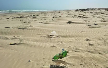 THE WORLD ENVIRONMENT DAY
