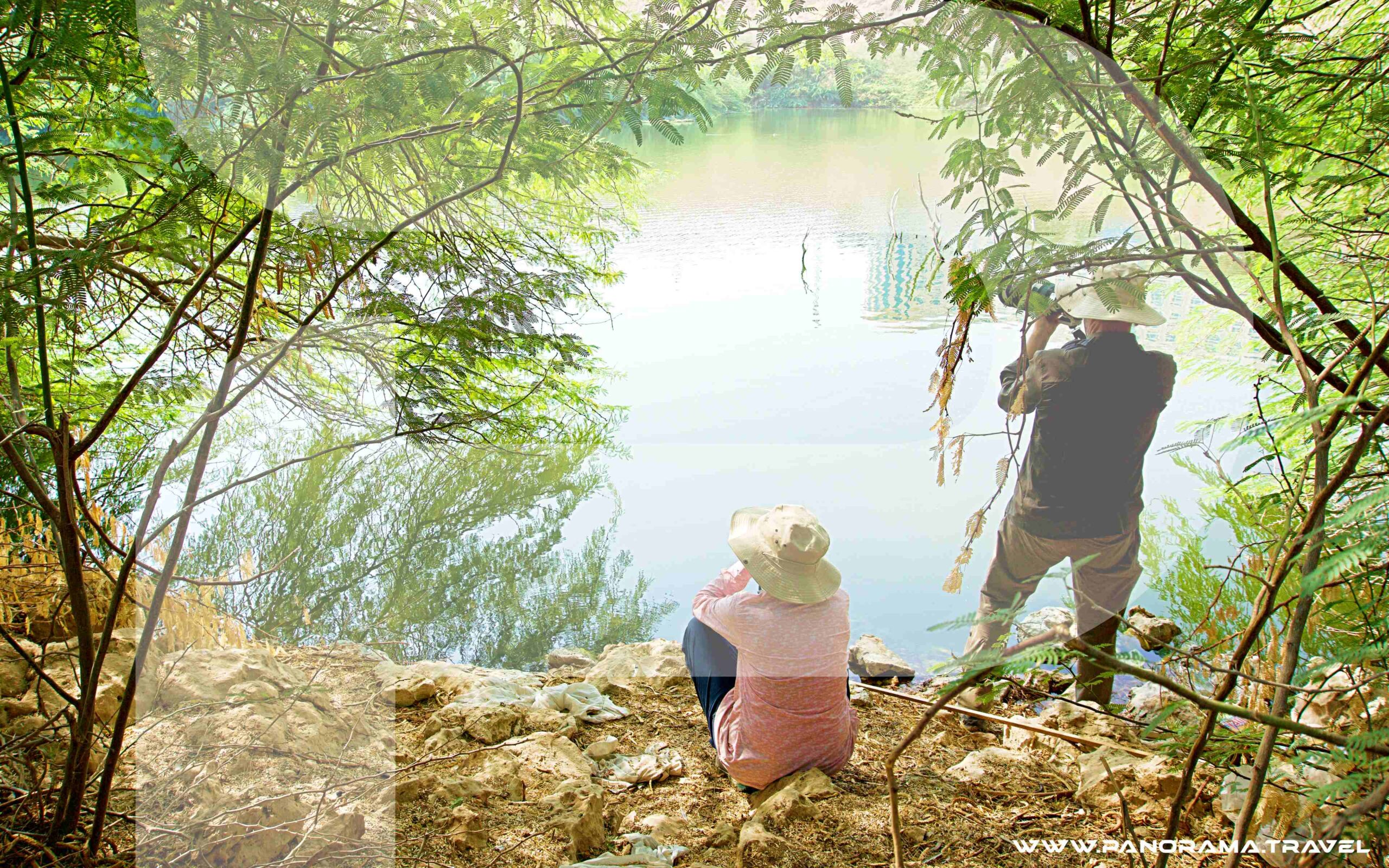 Muscat Birdwatching Tour