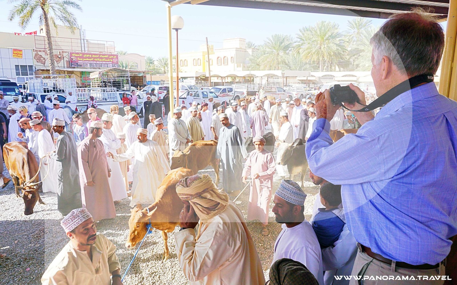 NIZWA & JABAL AL AKHDAR TOUR