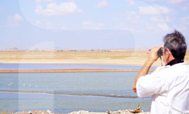 Oman Birdwatching Tours