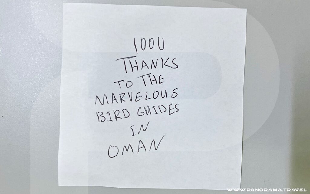 Oman Birdwatching Tours