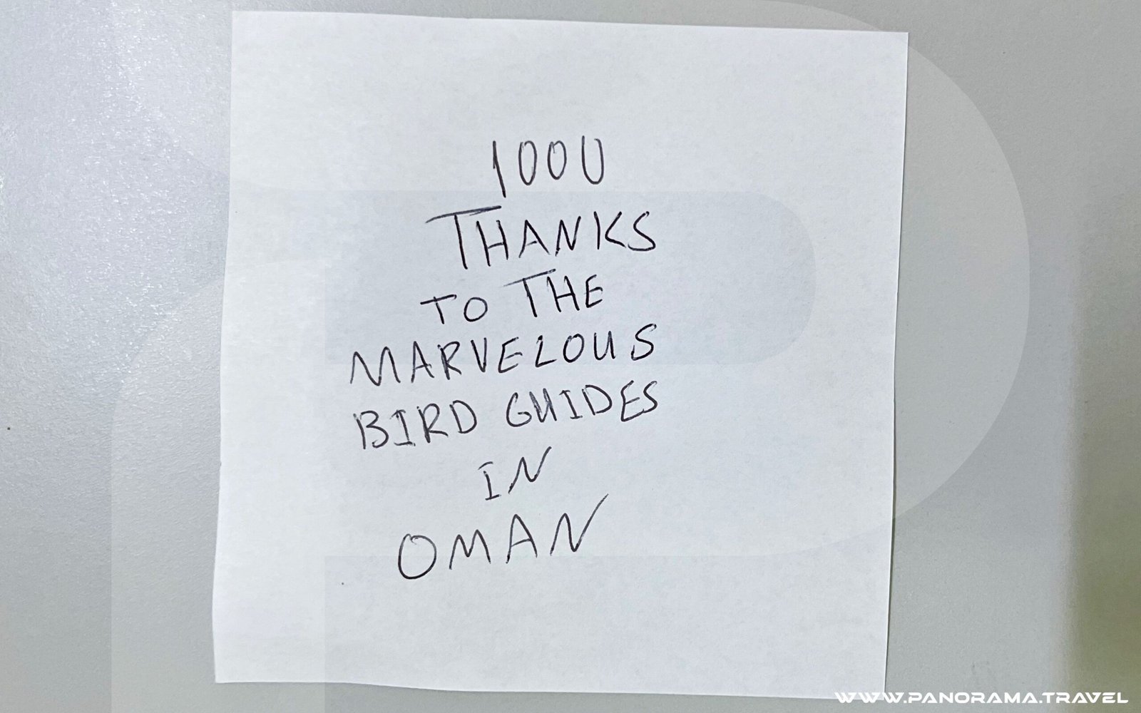 Oman Birdwatching Tours