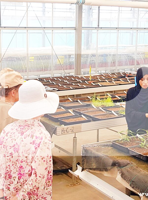 Oman Botanic Garden Seed Bank