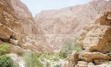 Wadi shab