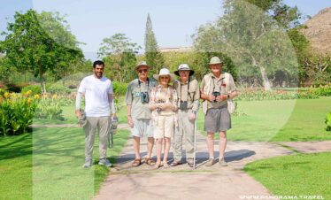 Oman Birdwatching Tours