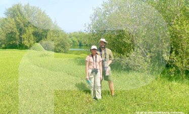 Oman Privat Birding Tour