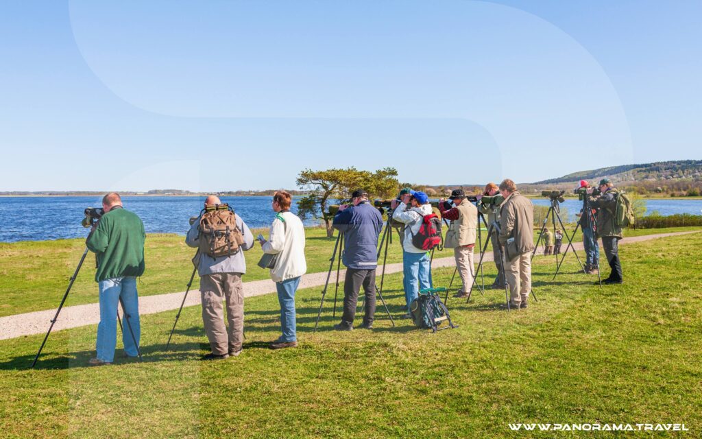 Tanzania-Birdwatching-Trip