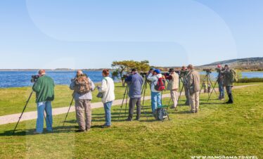 Tanzania-Birdwatching-Trip