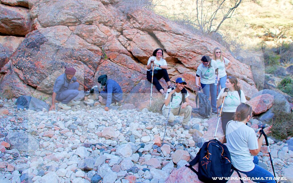 Tracking The Arabian Leopards Oman