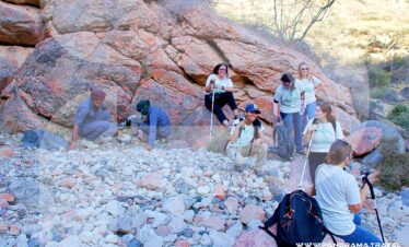 Tracking The Arabian Leopards Oman