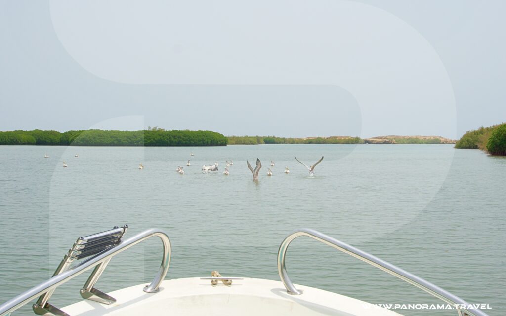 Saudi Arabai Red Sea Islands