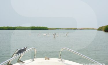 Saudi Arabai Red Sea Islands