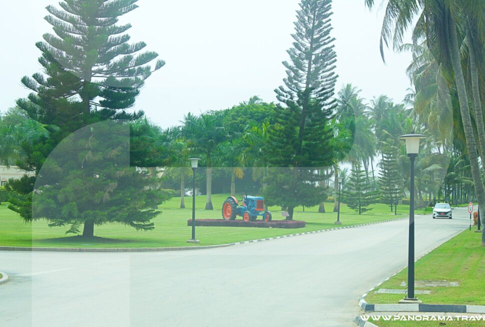 Oman Dhofar Royal Farm 10
