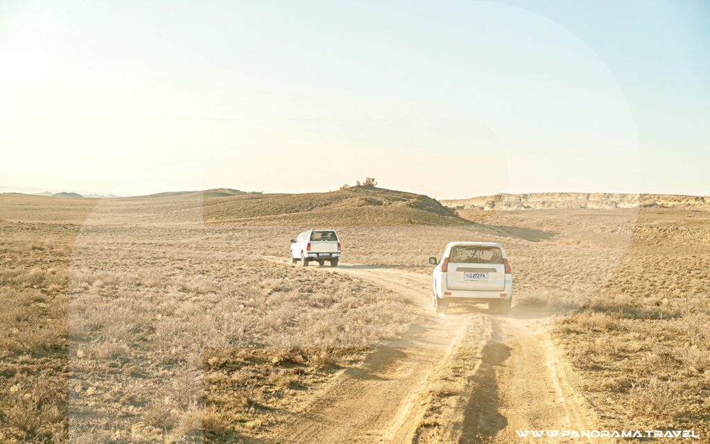 Uzbekistan Birdwatching Desert Trip
