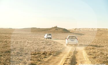 Uzbekistan Birdwatching Desert Trip