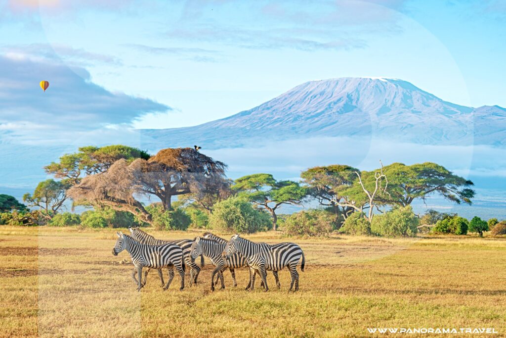 Amboseli-National-Park
