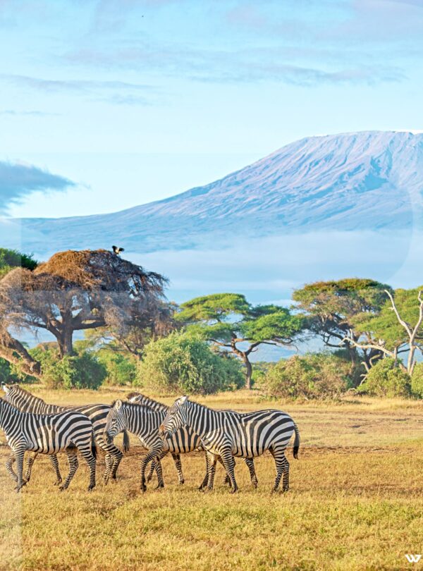 Amboseli-National-Park