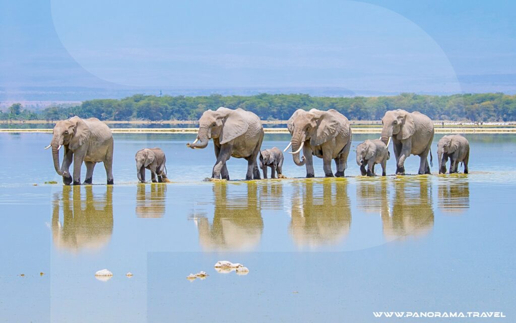 Kenyas-safari-Birding-Trip