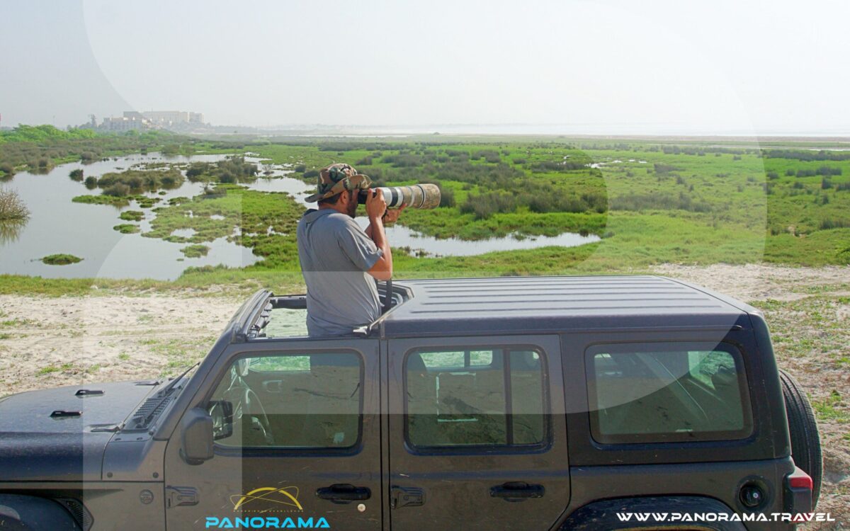 Oman Birding Panorama Travel